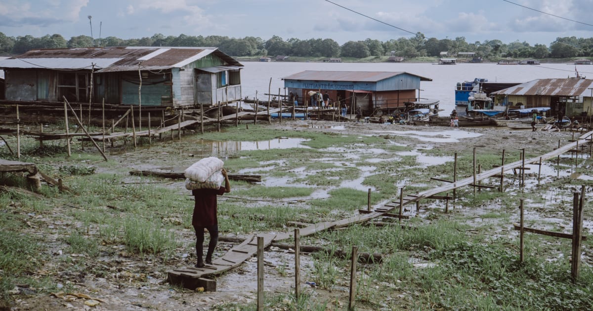 Lead image from the Amazon reporting